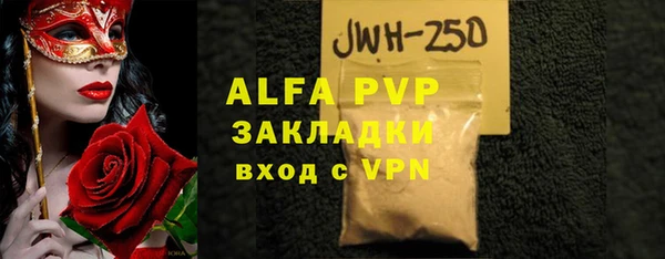 стаф Алзамай