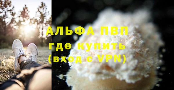 стаф Алзамай