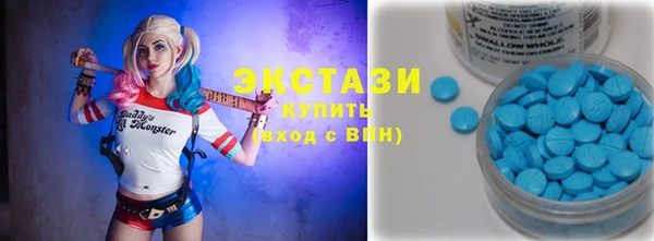стаф Алзамай