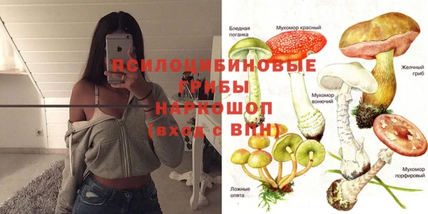PSILOCYBIN Алексеевка