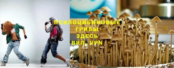 стаф Алзамай