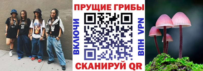 магазин Красноперекопск Галлюциногенные грибы Cubensis